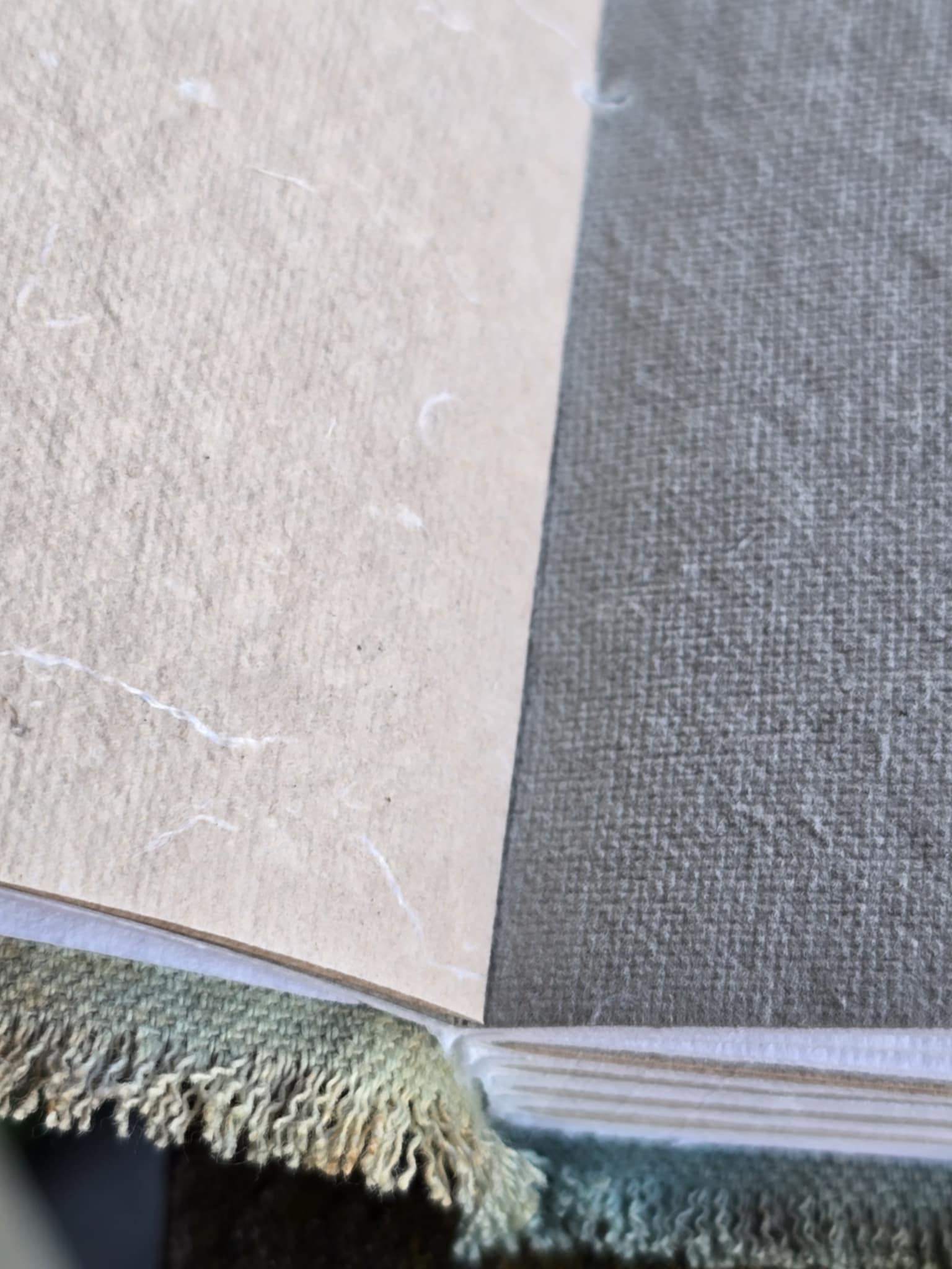 Carnet Neem de Jaipur