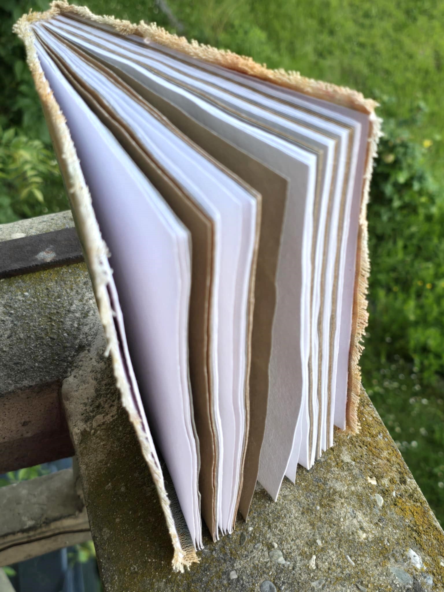 Carnet Neem de Jaipur