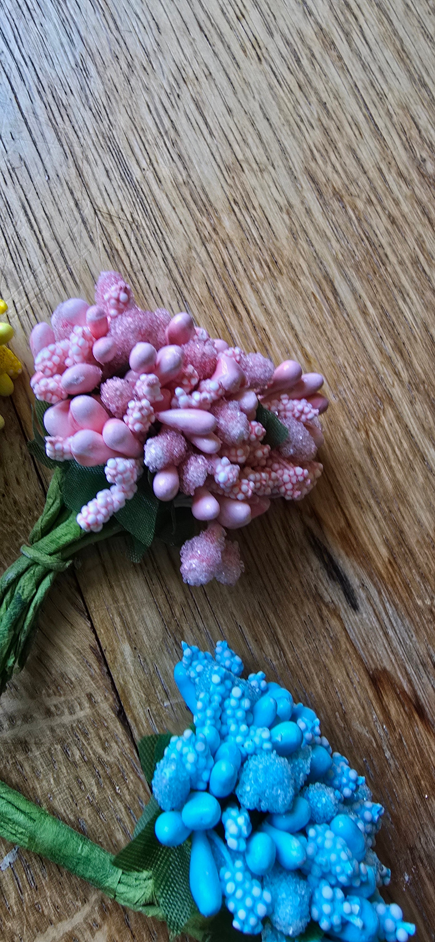 PISTILLE FLEURS