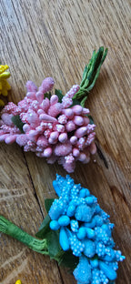 PISTILLE FLEURS