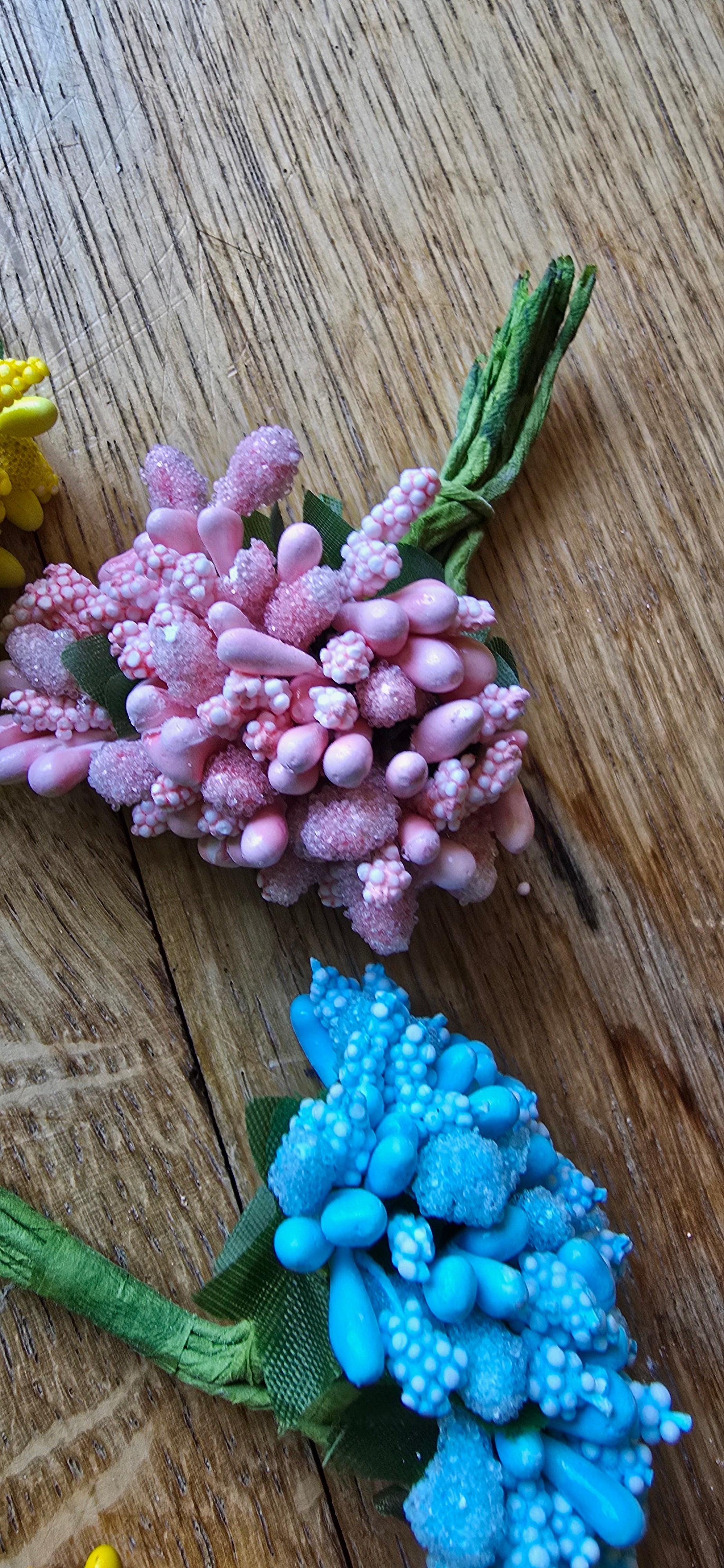 PISTILLE FLEURS