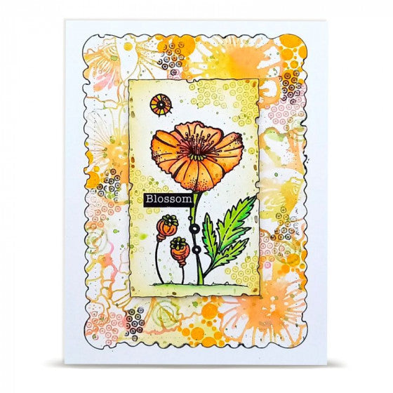 Tampon clear Azoline AAll and Create lovely coquelicot