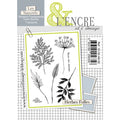 Tampons - Herbes Folles
